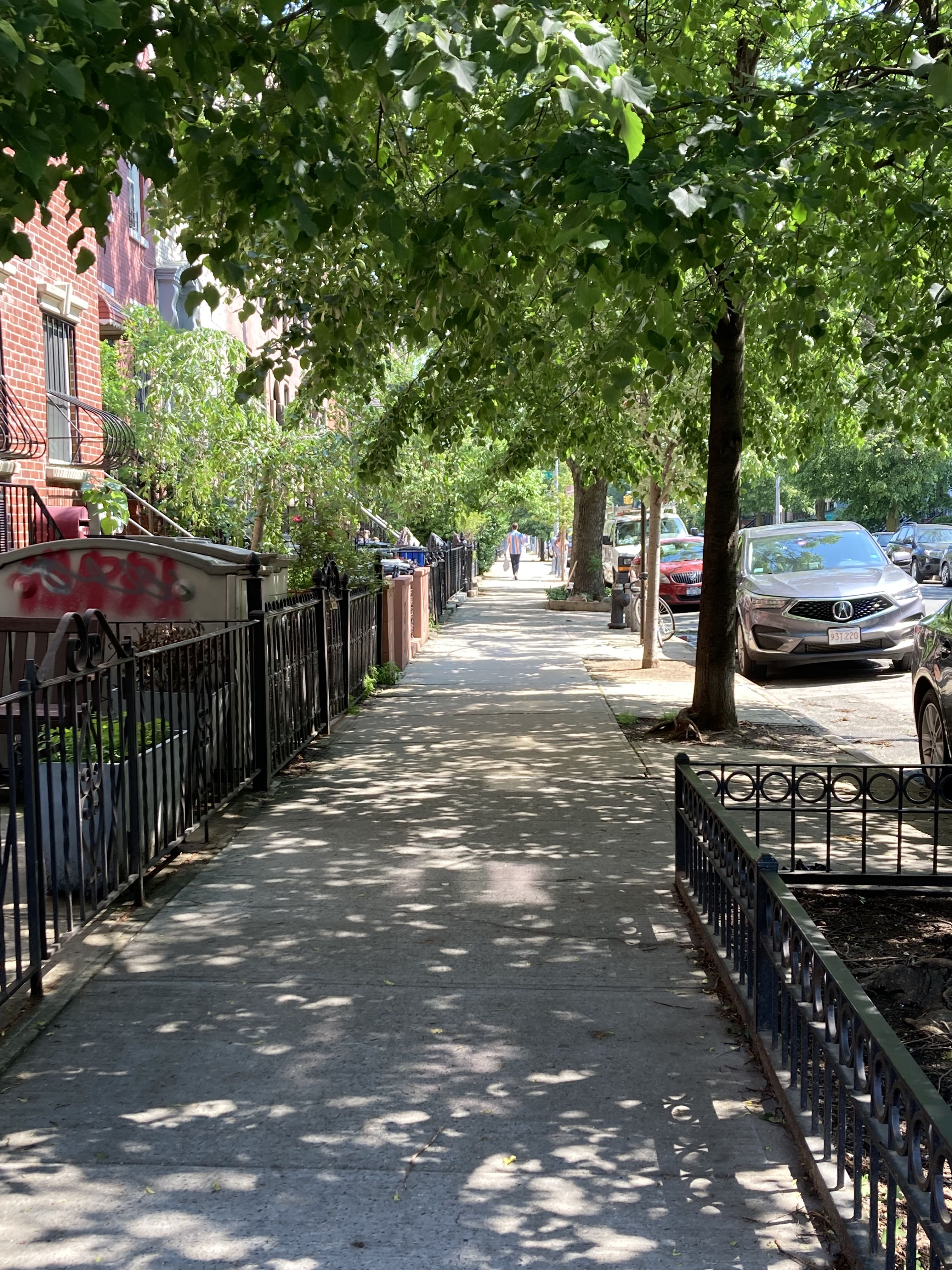 春～初夏のニューヨーク